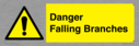 danger-falling-branches~
